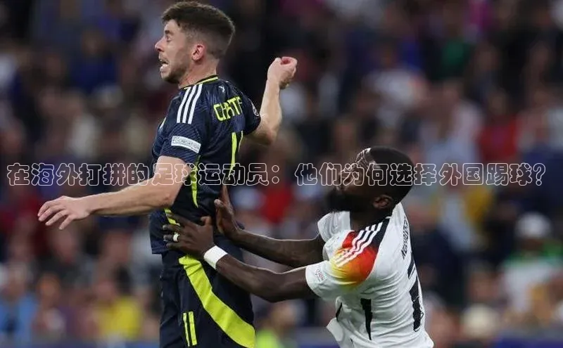 意昂体育3平台孩176五八27员百度取证