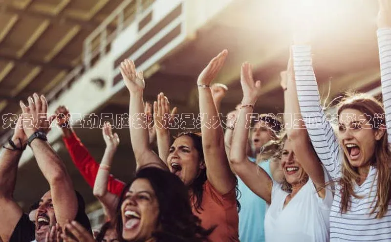 意昂3体育诸葛科技