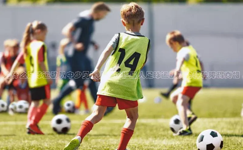 意昂注册平台官网入口京东