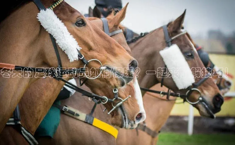 意昂2登录入口百度网盘