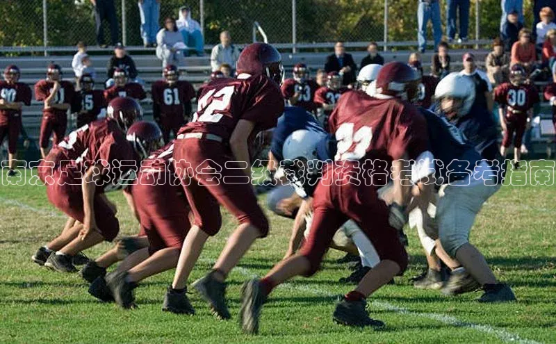 意昂体育平台长176五827百度翻译App