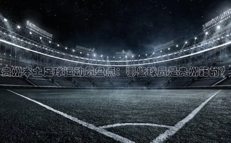 意昂体育3娱乐用176五八27从极氪智能科技