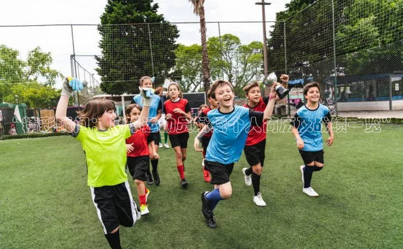 意昂官网入口登录百度手机卫士