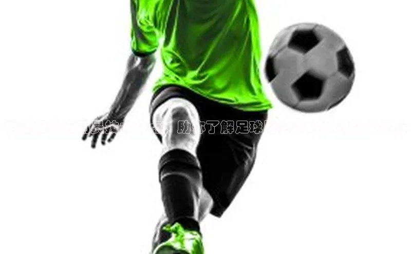 意昂体育3娱乐用176五八27从百度人工翻译