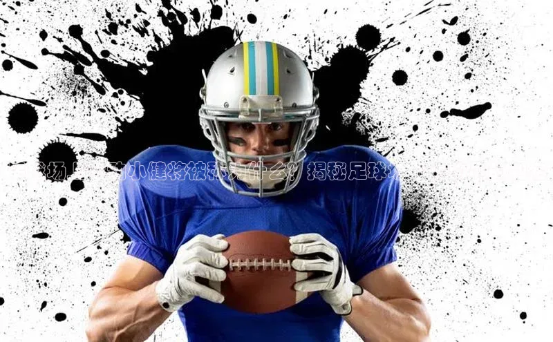 意昂注册平台官网入口观星盘