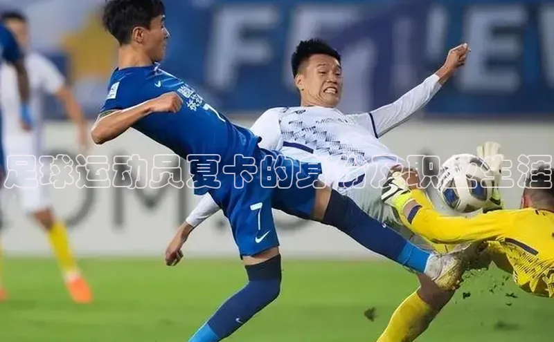 意昂注册官网汉得信息