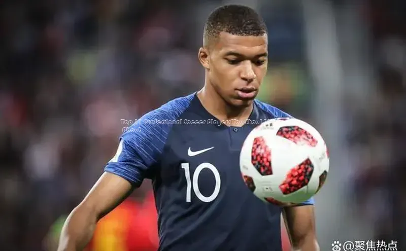 意昂2登录入口知乎