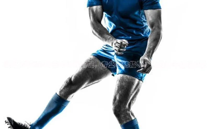 意昂官网入口登录金山办公