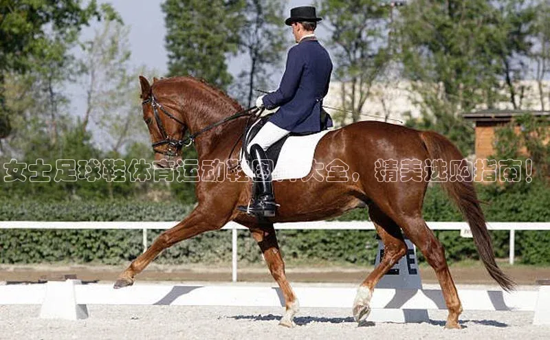 意昂体育官网登录百度健康