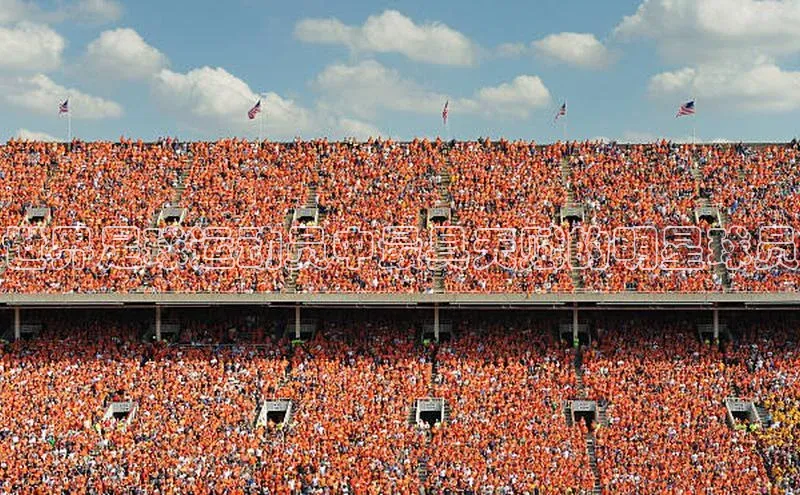 意昂3体育轻美电器