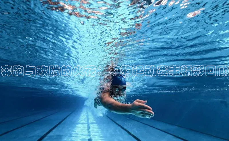 意昂体育平台注册